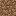 Dirt