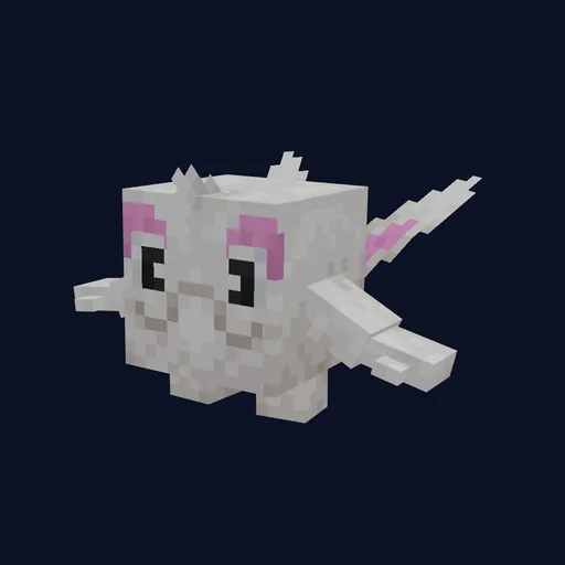 Cetoddle