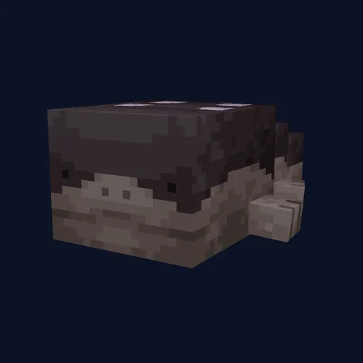 Clodsire