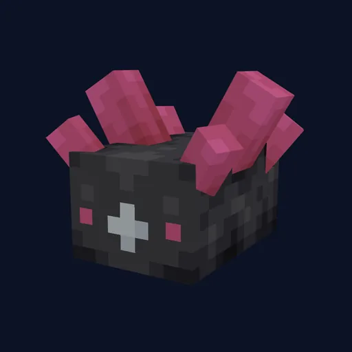 Pyukumuku