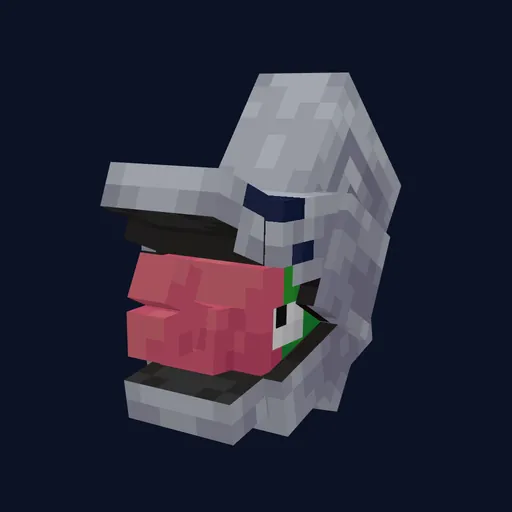 Shelmet