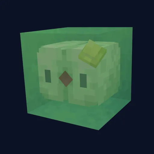 Solosis