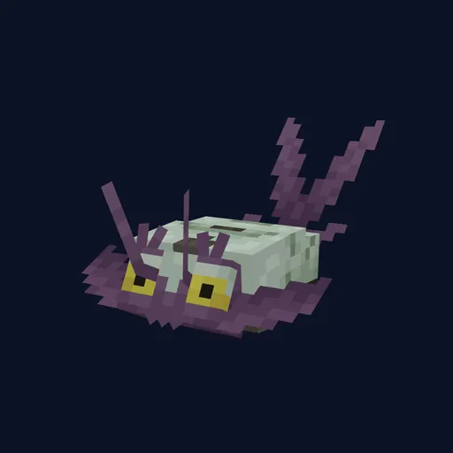 Wimpod